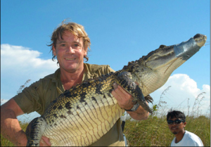 steve irwin