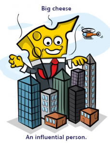 Kaplan Big Cheese English Idiom