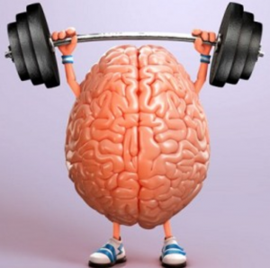 brain-workout