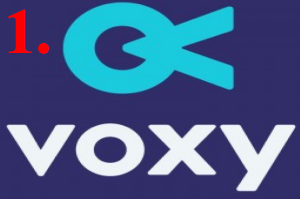 Voxy