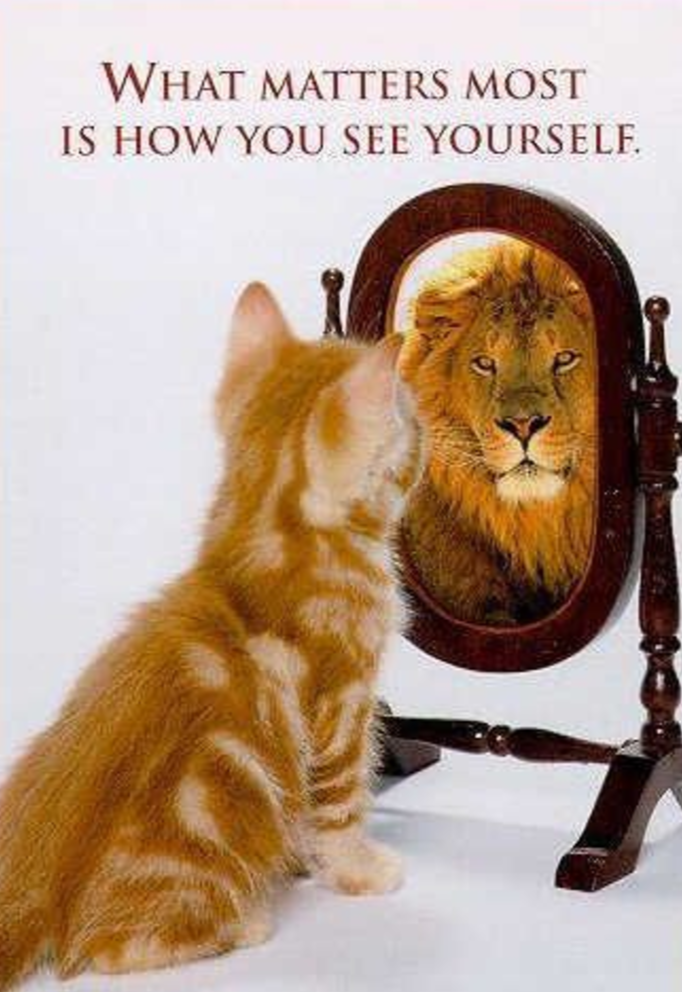 the-right-attitude