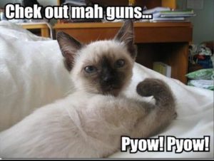 guns